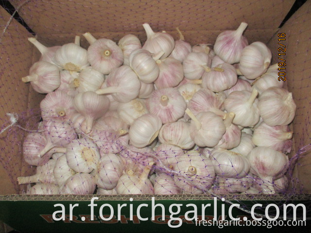 How Should I Store Fresh Garlic